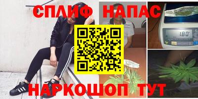 дмт Нягань