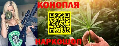 дмт Нягань