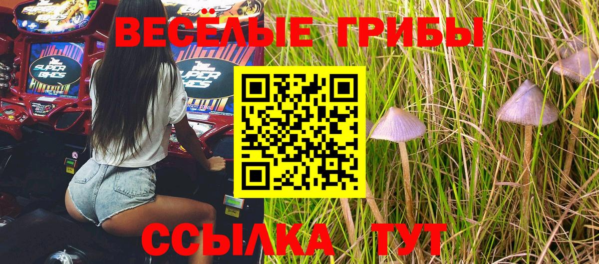 Псилоцибиновые грибы Psilocybine cubensis Серпухов