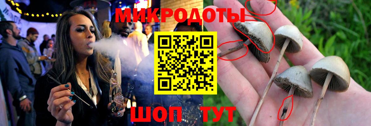 Серпухов  Галлюциногенные грибы Psilocybine cubensis  Вход с VPN 